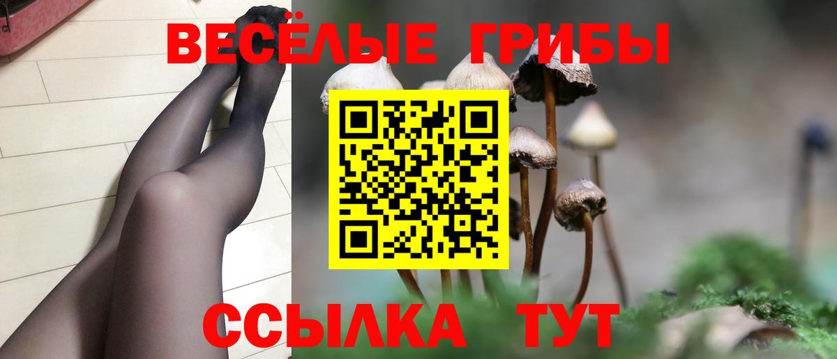 цена   Вход с VPN  Дубна  Псилоцибиновые грибы ЛСД 